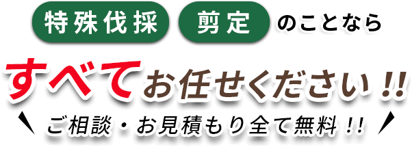 特殊伐採・剪定のことならすべてお任せください!!ご相談・お見積り全て無料!!